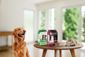 petcoin brand story in uae by truthupfront